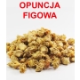 OPUNCJA FIGOWA KWIAT 1 KG
